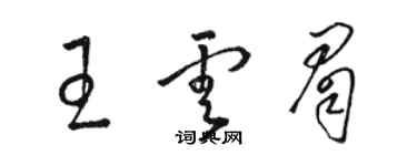 骆恒光王云眉草书个性签名怎么写