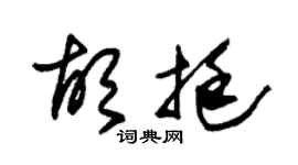 朱锡荣胡挺草书个性签名怎么写