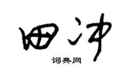朱锡荣田冲草书个性签名怎么写