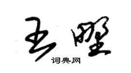 朱锡荣王野草书个性签名怎么写