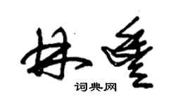 朱锡荣林丰草书个性签名怎么写