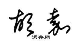 朱锡荣胡嘉草书个性签名怎么写