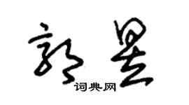 朱锡荣郭昱草书个性签名怎么写