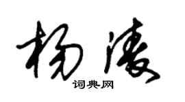 朱锡荣杨凌草书个性签名怎么写