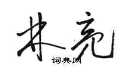 骆恒光林亮草书个性签名怎么写