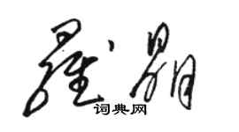 骆恒光罗晶草书个性签名怎么写