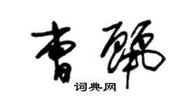 朱锡荣曹丽草书个性签名怎么写