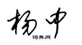 朱锡荣杨中草书个性签名怎么写