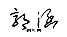 朱锡荣郭涵草书个性签名怎么写