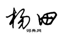 朱锡荣杨田草书个性签名怎么写