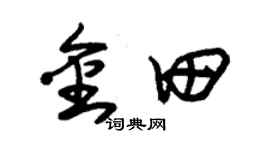 朱锡荣金田草书个性签名怎么写