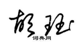 朱锡荣胡珏草书个性签名怎么写