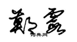 朱锡荣郑霞草书个性签名怎么写