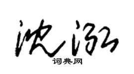 朱锡荣沈泓草书个性签名怎么写