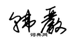 朱锡荣韩严草书个性签名怎么写