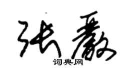 朱锡荣张严草书个性签名怎么写
