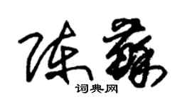 朱锡荣陈苏草书个性签名怎么写
