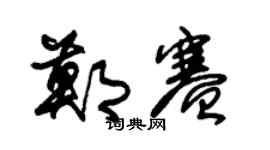 朱锡荣郑赛草书个性签名怎么写