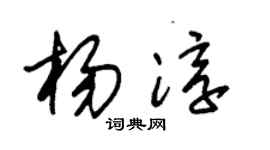朱锡荣杨淳草书个性签名怎么写