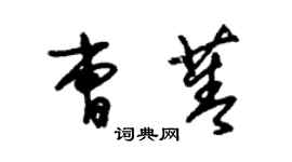 朱锡荣曹菁草书个性签名怎么写