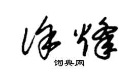 朱锡荣徐烽草书个性签名怎么写