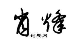 朱锡荣肖烽草书个性签名怎么写