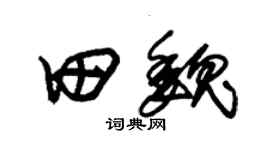 朱锡荣田魏草书个性签名怎么写