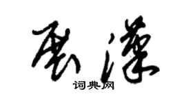朱锡荣展汉草书个性签名怎么写