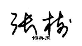 朱锡荣张树草书个性签名怎么写