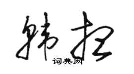 骆恒光韩想草书个性签名怎么写