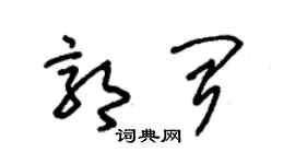 朱锡荣郭闻草书个性签名怎么写