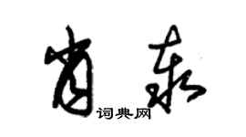 朱锡荣肖泰草书个性签名怎么写