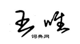朱锡荣王唯草书个性签名怎么写