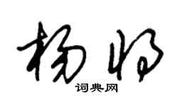 朱锡荣杨将草书个性签名怎么写
