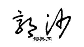 朱锡荣郭沙草书个性签名怎么写