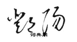 骆恒光邓阳草书个性签名怎么写