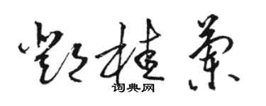 骆恒光邓桂兰草书个性签名怎么写