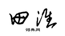 朱锡荣田淮草书个性签名怎么写