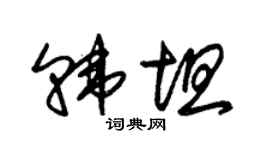 朱锡荣韩坦草书个性签名怎么写