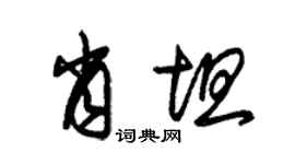 朱锡荣肖坦草书个性签名怎么写