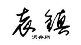 朱锡荣袁镇草书个性签名怎么写