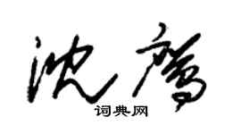 朱锡荣沈鹰草书个性签名怎么写