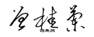 骆恒光曾桂兰草书个性签名怎么写