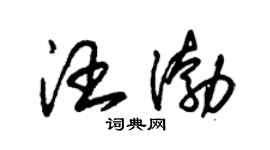 朱锡荣汪渤草书个性签名怎么写