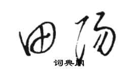 骆恒光田阳草书个性签名怎么写