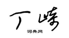 朱锡荣丁崎草书个性签名怎么写