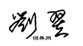 朱锡荣刘翌草书个性签名怎么写