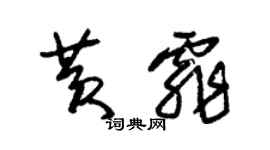 朱锡荣黄霏草书个性签名怎么写