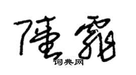朱锡荣陆霏草书个性签名怎么写