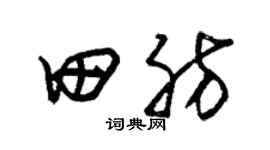 朱锡荣田肪草书个性签名怎么写
